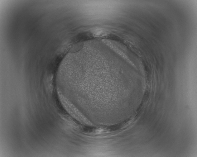 X0000066100319200603241525