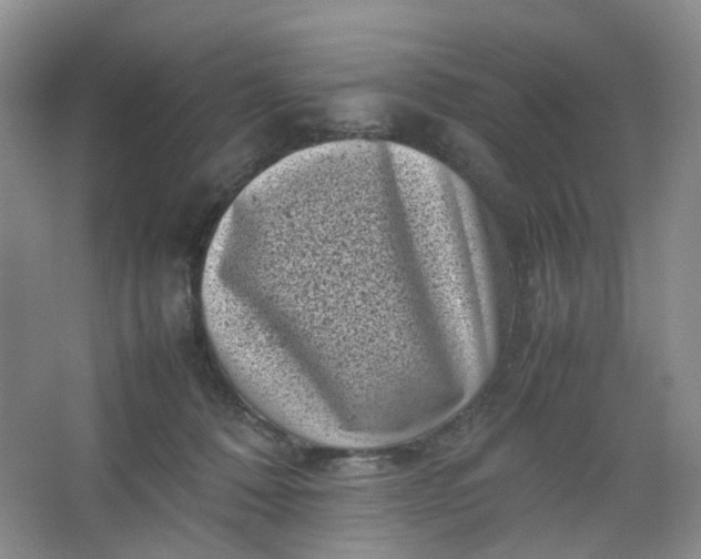 X0000066100320200603241525