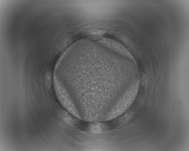 X0000066100321200603241525