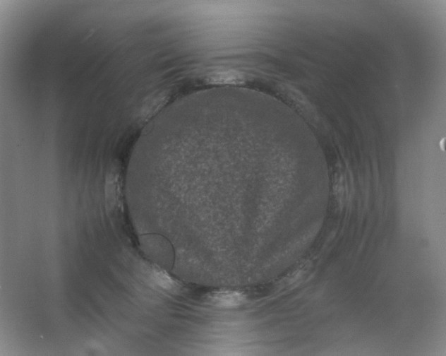 X0000066100322200603241525