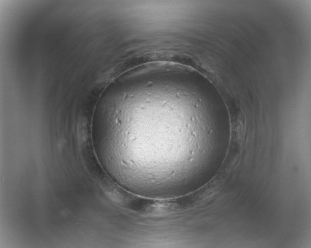 X0000066100323200603241525