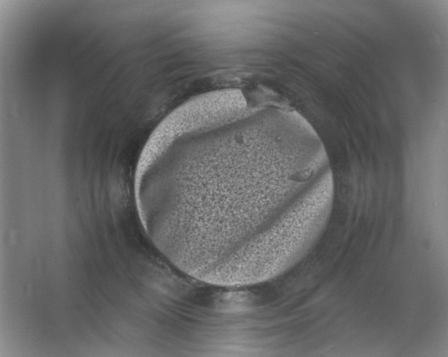 X0000066100324200603241525