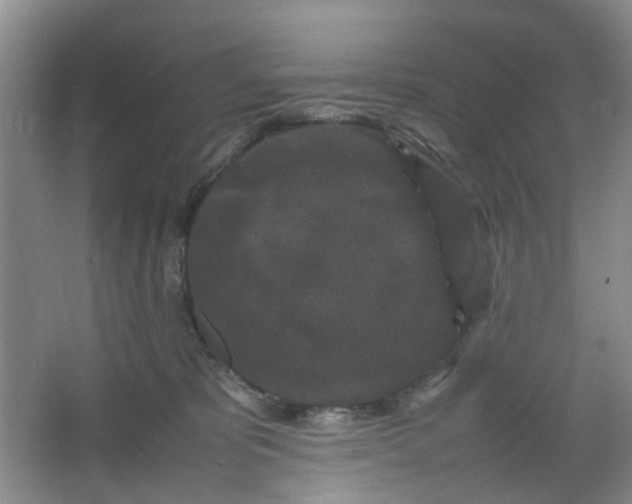 X0000066100325200603241525