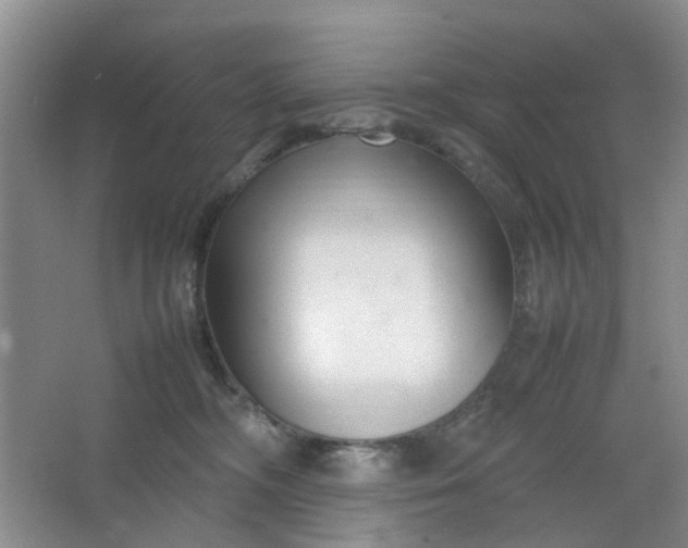 X0000066100326200603241525