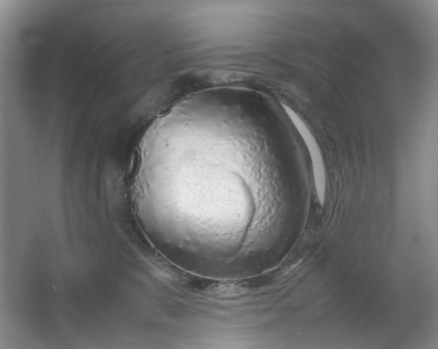 X0000066100327200603241525