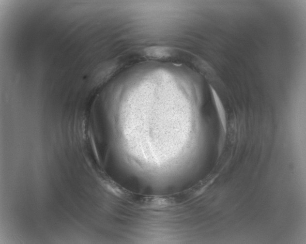 X0000066100330200603241525