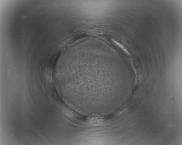 X0000066100331200603241525