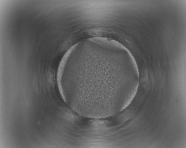 X0000066100332200603241525