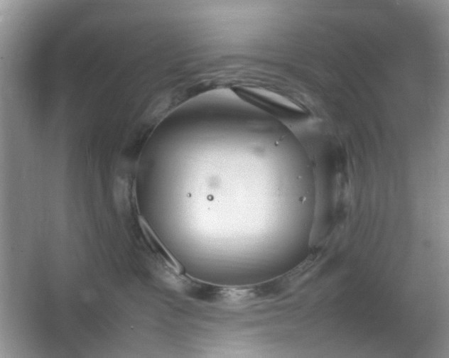 X0000066100333200603241525