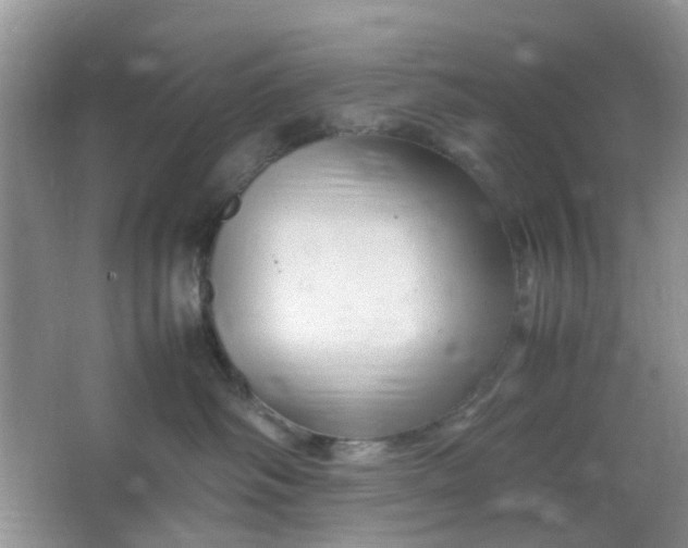 X0000066100334200603241524