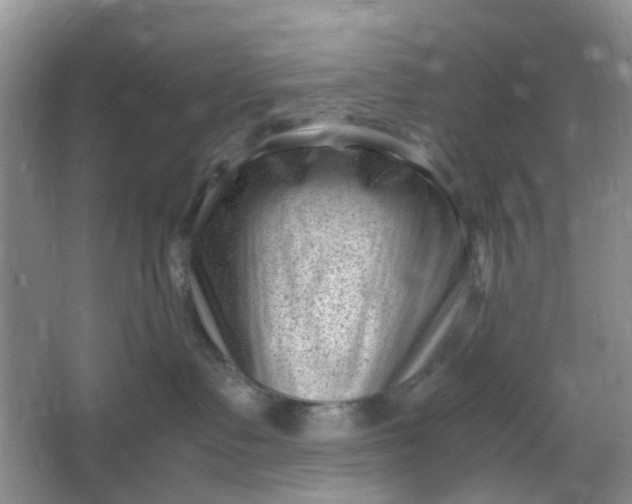 X0000066100335200603241524