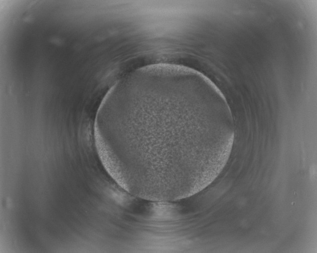 X0000066100336200603241524