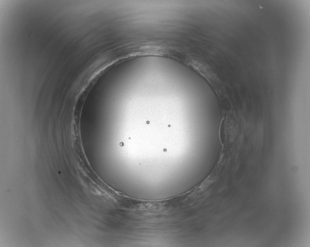 X0000066100338200603241524