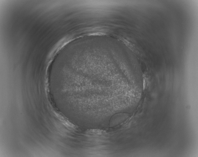 X0000066100339200603241524