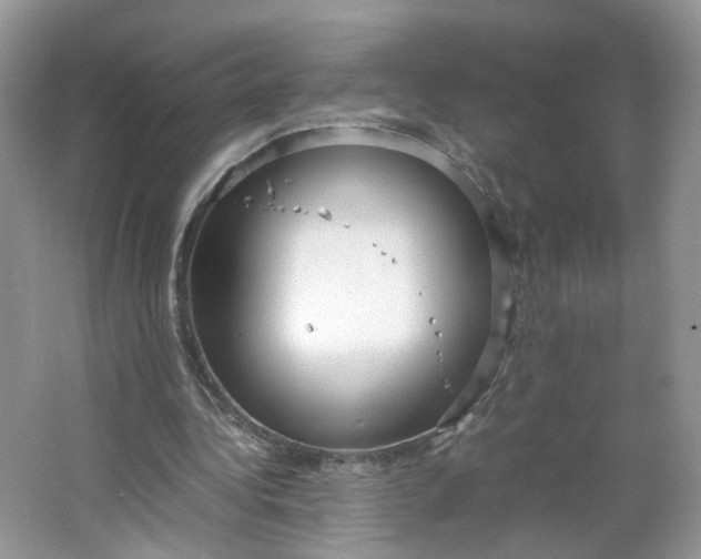 X0000066100340200603241524