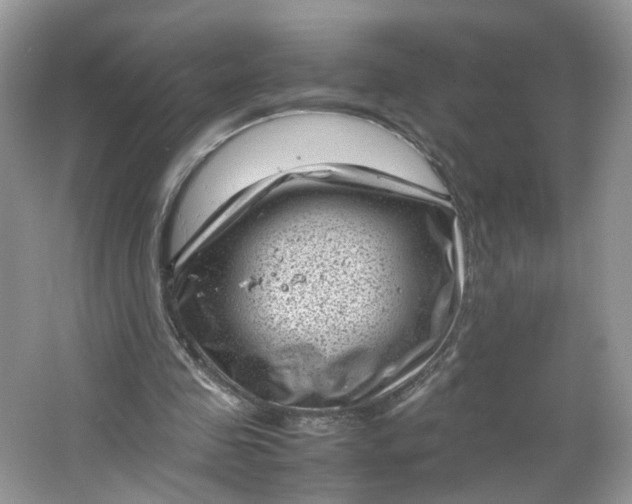 X0000066100341200603241524