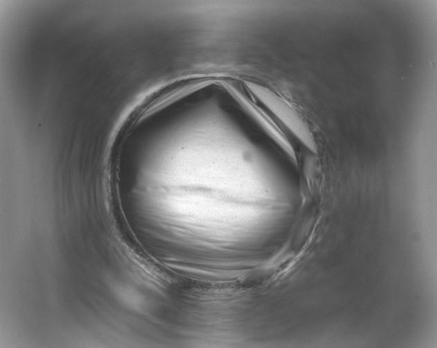 X0000066100342200603241524