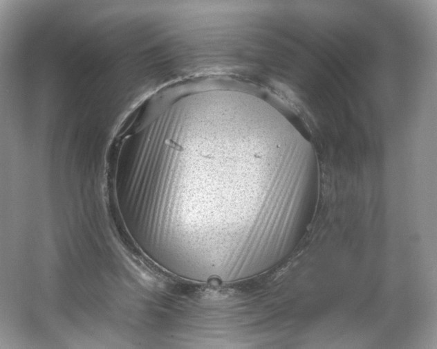 X0000066100346200603241524