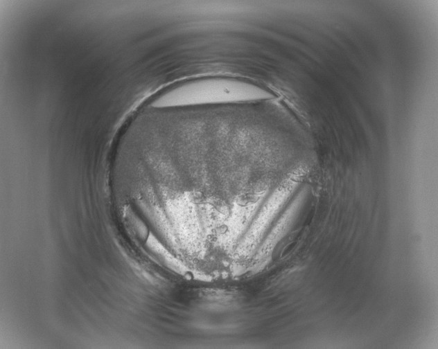 X0000066100347200603241524