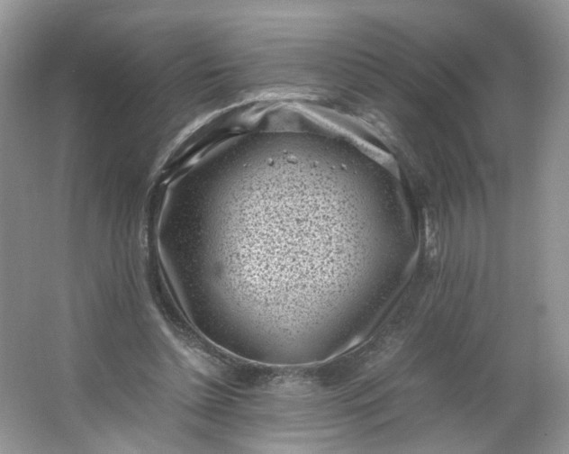 X0000066100348200603241524