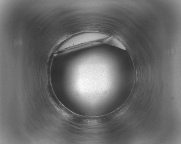 X0000066100349200603241524