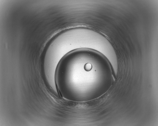 X0000066100350200603241524