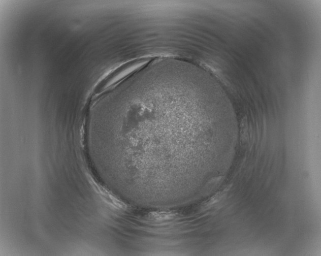 X0000066100351200603241524