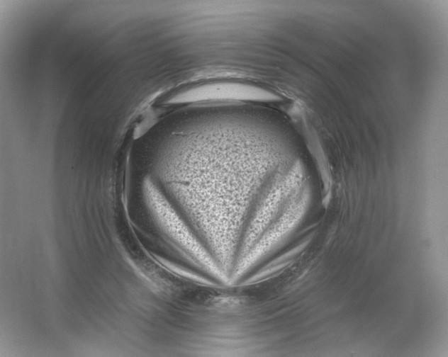 X0000066100352200603241524