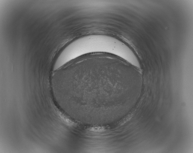 X0000066100353200603241524