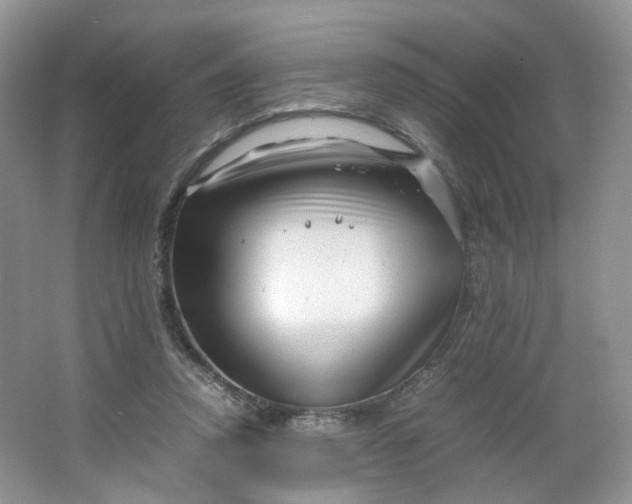 X0000066100354200603241524