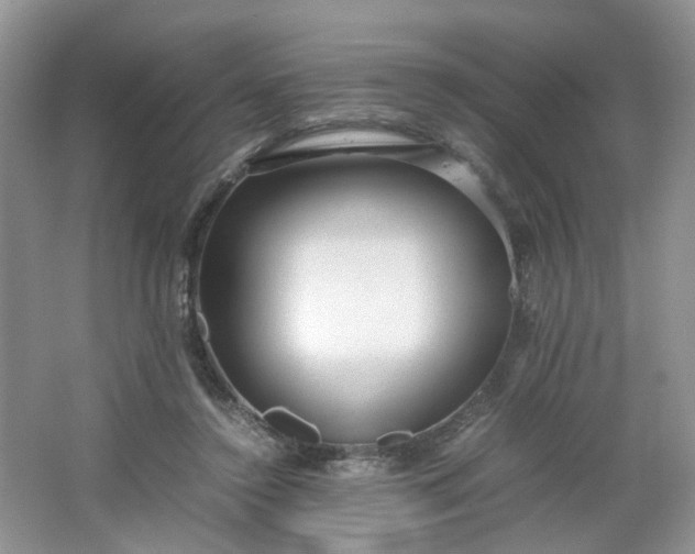 X0000066100356200603241524