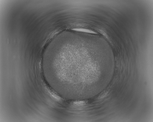 X0000066100357200603241524