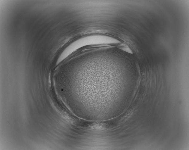 X0000066100358200603241524