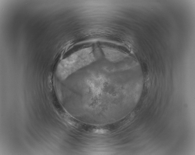 X0000066100360200603241524