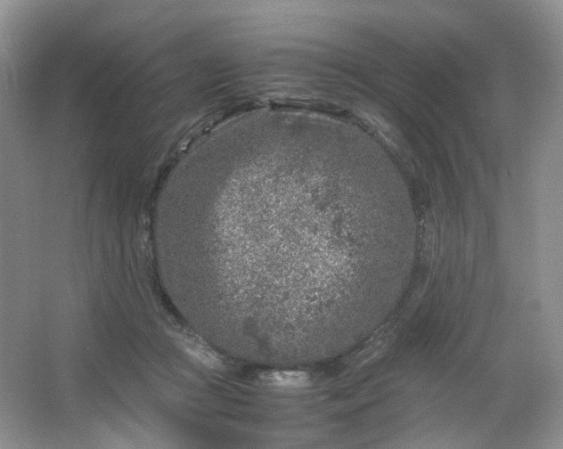 X0000066100361200603241524