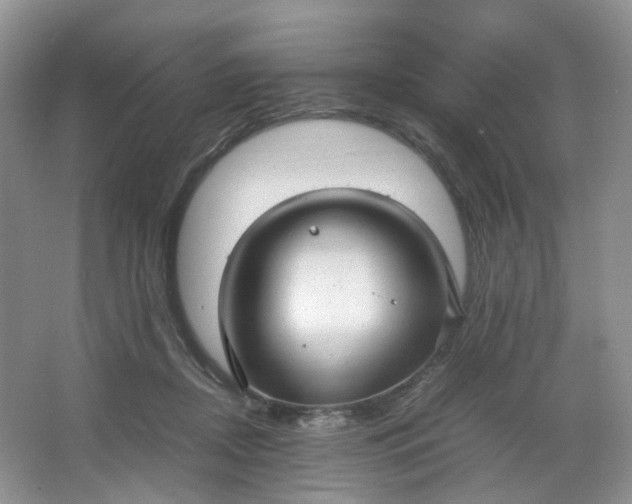 X0000066100362200603241524