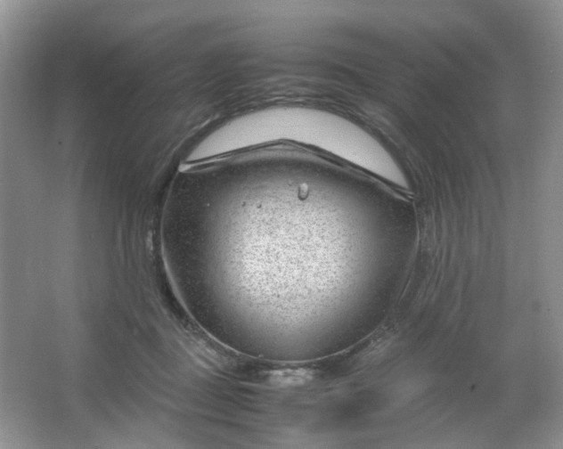 X0000066100363200603241524