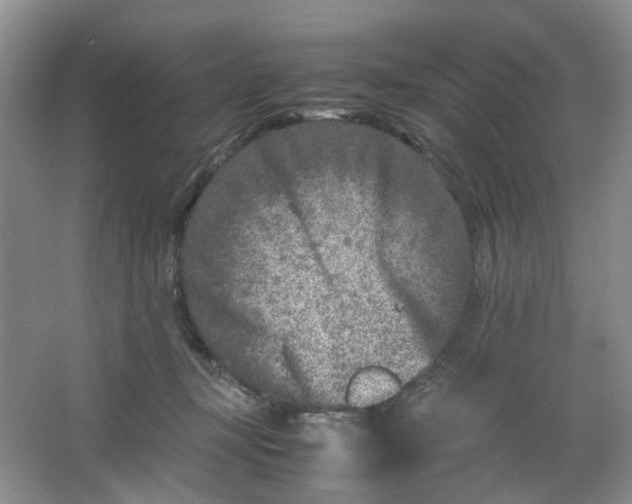 X0000066100367200603241524