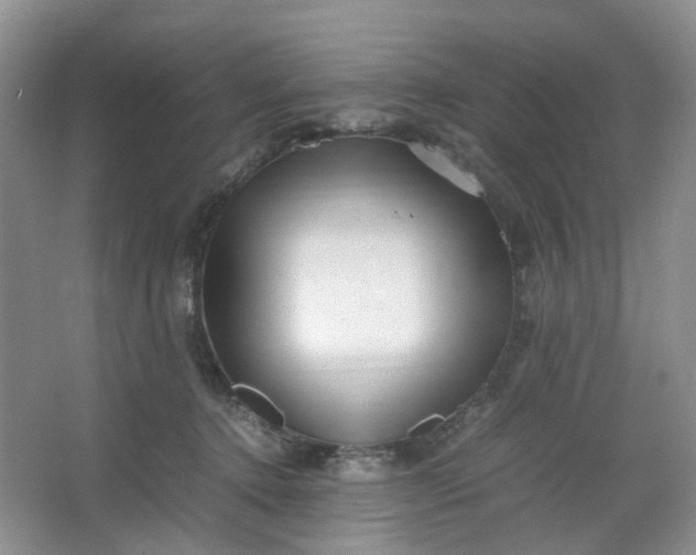 X0000066100368200603241524