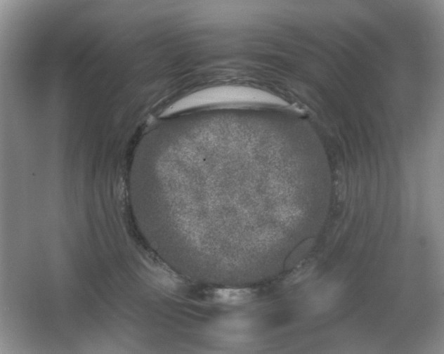 X0000066100371200603241524