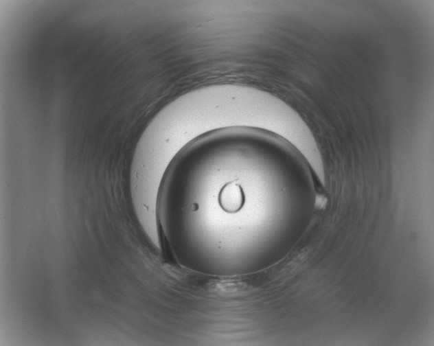 X0000066100372200603241524