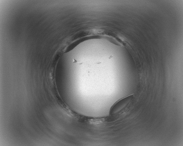 X0000066100373200603241524