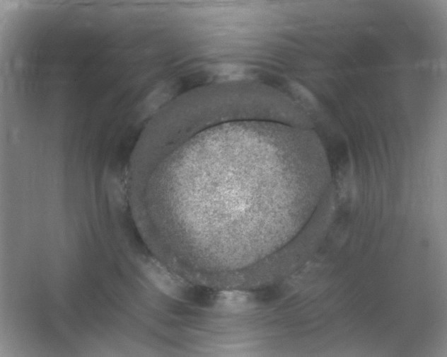 X0000066100376200603241524