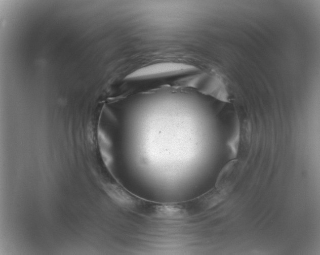 X0000066100380200603241524