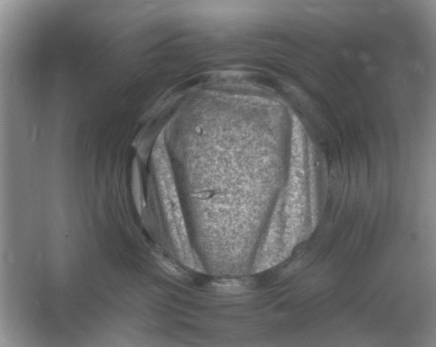 X0000066100381200603241524