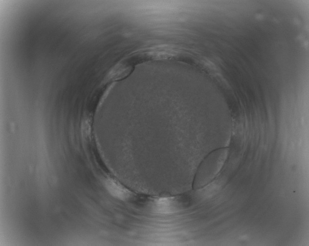 X0000066100382200603241524