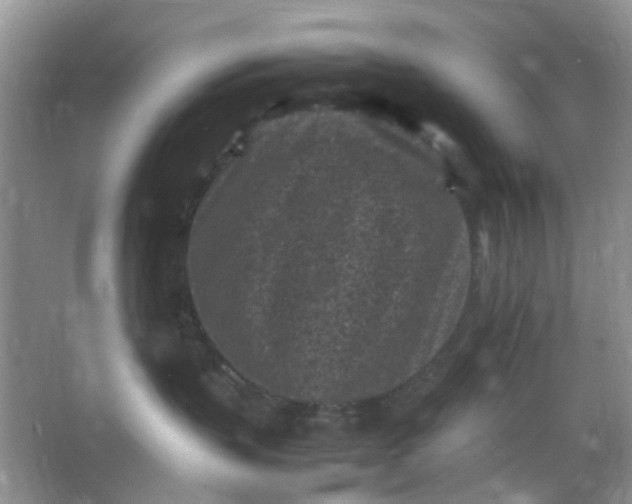 X0000066100383200603241524