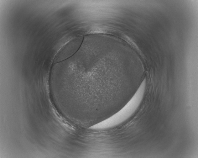 X0000066100386200603241524