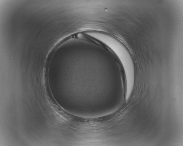 X0000066100387200603241524