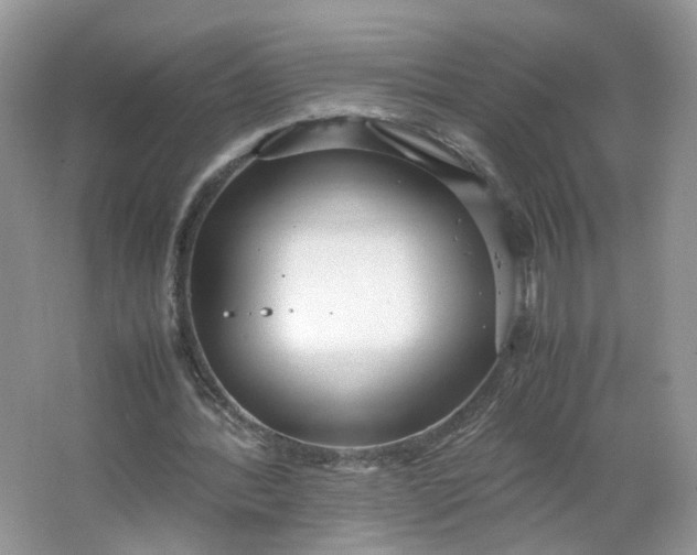 X0000066100388200603241524